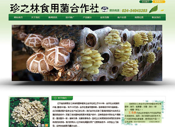 撫順縣珍之林食用菌種植專(zhuān)業(yè)合作社