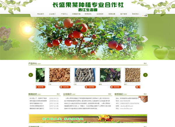 新賓滿(mǎn)族自治縣長(zhǎng)盛果菜種植專(zhuān)業(yè)合作社